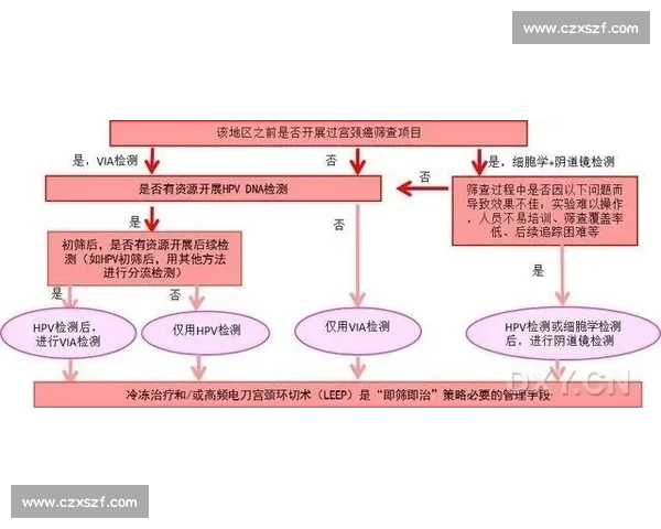提高决策质量的关键策略与方法全面解析与实践指导