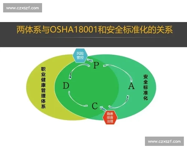 构建高效科学的体育训练体系提升运动员综合能力方法探索